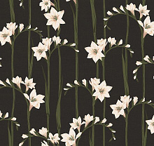 Чёрные обои с цветами Loymina Origins ALS2, 011